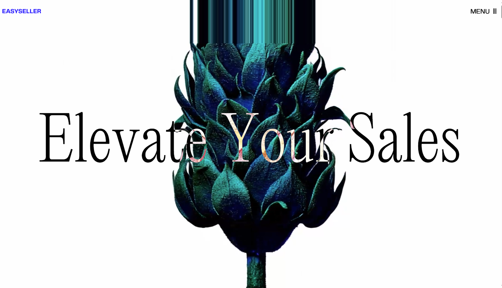 EASYSELLER | Elevate Your Sales